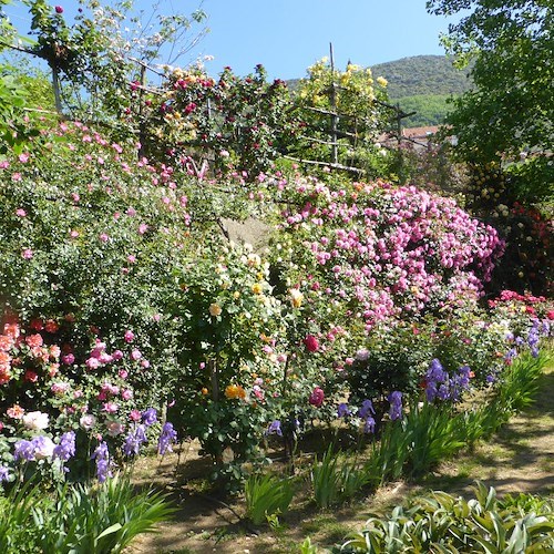 Il "Premio costadamalfilibri" prosegue a Tramonti con il salotto letterario dell'8 luglio al Giardino Segreto dell’Anima