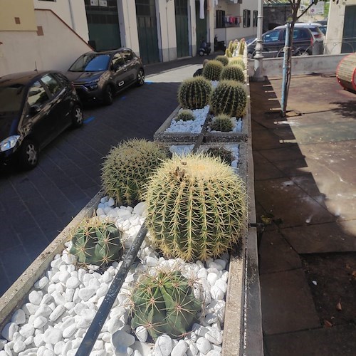 Il restyling del verde pubblico trasforma Atrani in un giardino botanico diffuso