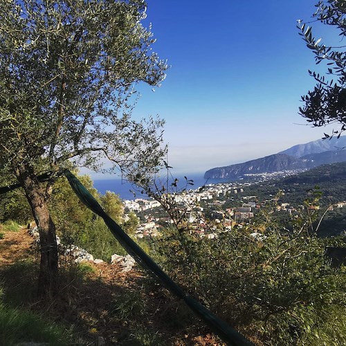 "Il senso dei luoghi", a Sorrento parte un progetto di segnaletica naturalistica e culturale<br />&copy; Sorrento Walks