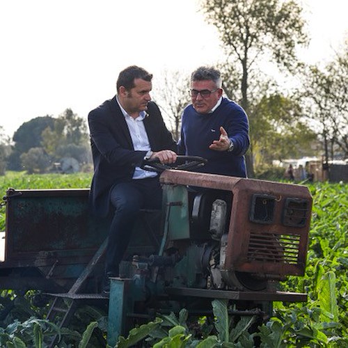 Il sottosegretario al Ministero dell’Agricoltura in visita ai campi di Carciofo IGP di Paestum 