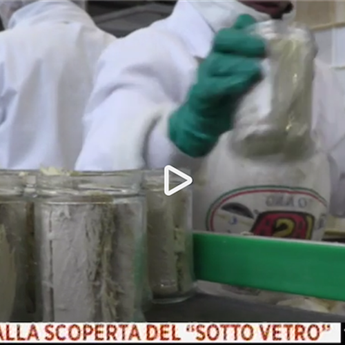 Il tonno di Cetara a 'Tempo e Denaro': Lucia Di Mauro racconta IASA in TV [VIDEO]