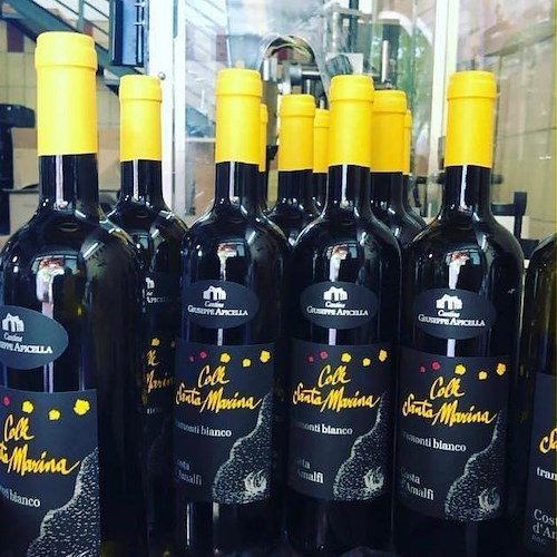 Il vino “Costa d’Amalfi Tramonti Bianco Colle Santa Marina” della cantina Apicella vince il Premio Sole Luigi Veronelli