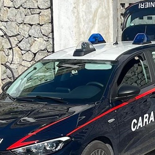 Carabinieri<br />&copy; Massimiliano D'Uva
