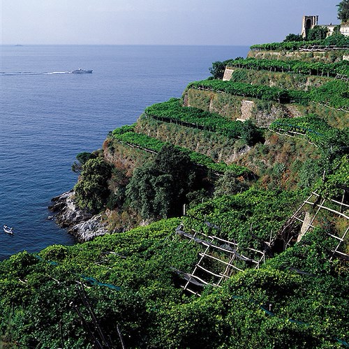 Imu agricola, ecco i nuovi criteri: esenzione totale per tutti comuni Costa d'Amalfi