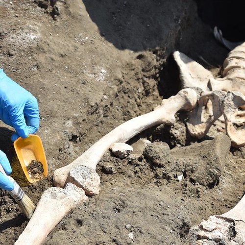 In fuga dall’eruzione, emerge la prima vittima nel cantiere dei nuovi scavi di Pompei