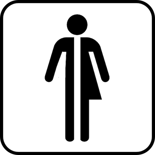 In Irpinia il primo bagno pubblico 'no gender'