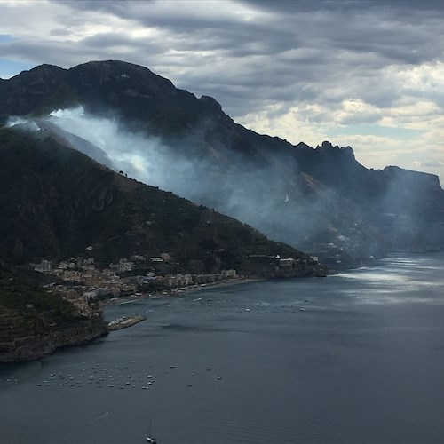 Incendi, una storia italiana: chi accende la fiamma e chi buca il secchio dell'acqua  