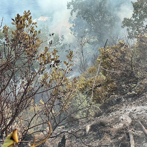 Incendio a Conca dei Marini, fiamme sotto la sede stradale /FOTO e VIDEO