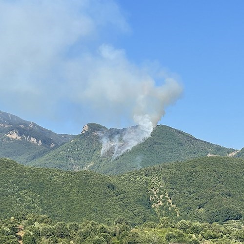 Incendio a Tramonti, due elicotteri e un canadair in azione /FOTO e VIDEO