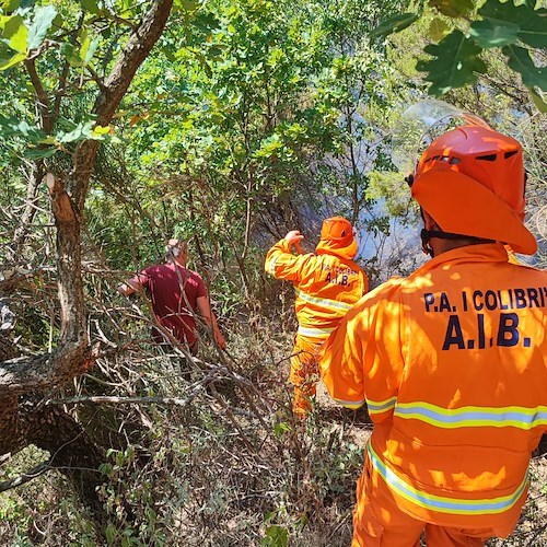 Incendio a Tramonti, due elicotteri e un canadair in azione /FOTO e VIDEO