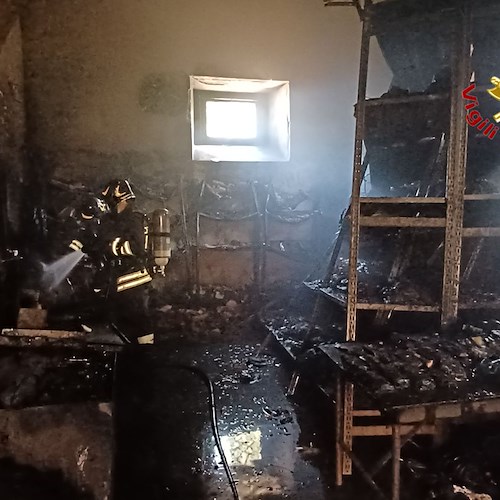 Incendio devasta la sede della Comunità Montana di Laureana Cilento