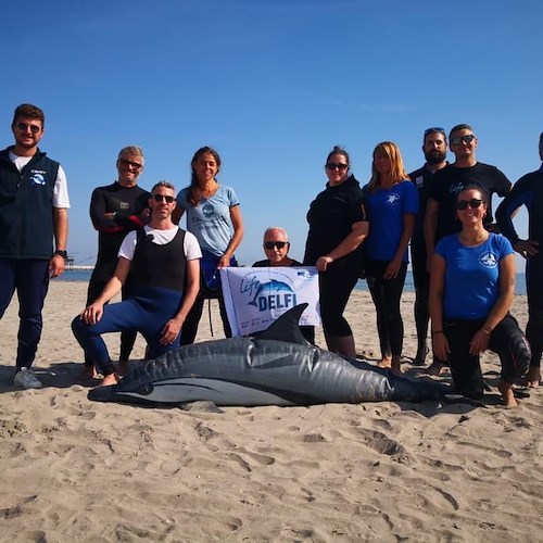 L’Area Marina Punta Campanella a lezione di salvataggio di delfini