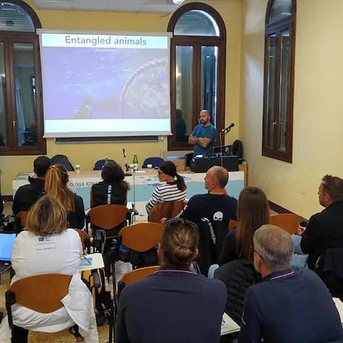 L’Area Marina Punta Campanella a lezione di salvataggio di delfini