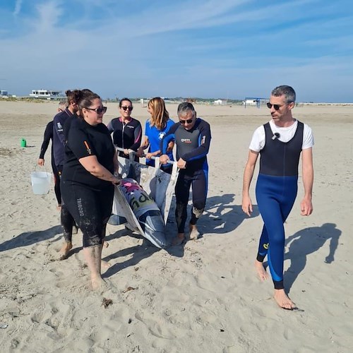 L’Area Marina Punta Campanella a lezione di salvataggio di delfini