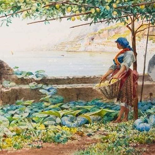 L’economia del limone nel XIX e XX secolo in Costiera Amalfitana
