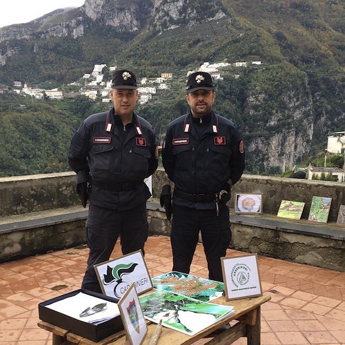 L'Educazione ambientale nelle scuole della Costiera si fa con i Carabinieri forestali
