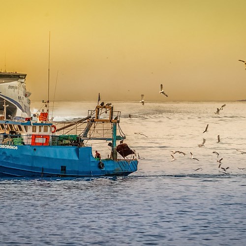 L’Europa dice no alla pesca a strascico per la tutela dell’ecosistema, Coldiretti: «Estremismo ambientalista lontano dalla logica»