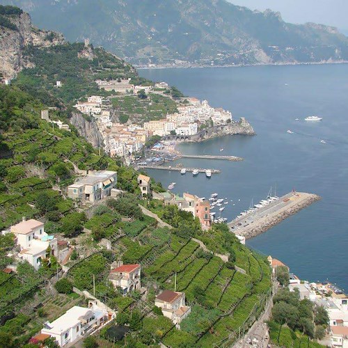La Costa d'Amalfi candidata al programma "Globally Important Agricultural Hertitage System" della FAO
