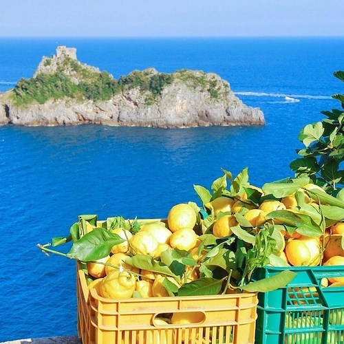 La Costiera Amalfitana su ItaloBog: suggerimenti ed appunti di viaggio ad alta velocità