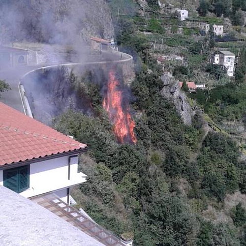 La Costiera che brucia, fiamme a Pogerola /FOTO