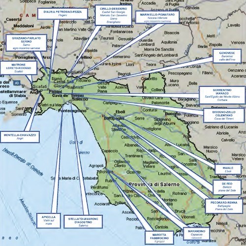 La criminalità organizzata “rinuncia” alla violenza in Provincia di Salerno: la Relazione del Ministro dell’Interno su attività DIA