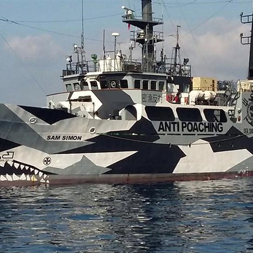 La Sam Simon nelle acque della Costiera, la nave 'buona' dall'aspetto aggressivo