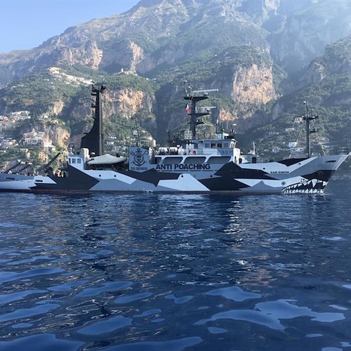 La Sam Simon nelle acque della Costiera, la nave 'buona' dall'aspetto aggressivo