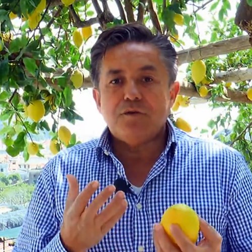 La versatilità del Limone Costa d’Amalfi IGP a L’Ingrediente Perfetto su La7 [FOTO e VIDEO]
