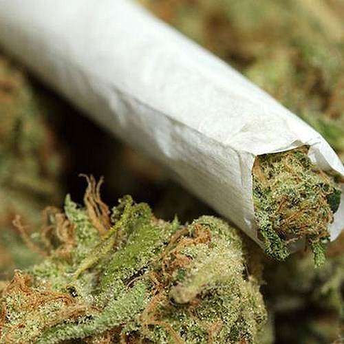 “Legalizziamo la cannabis”, pronta la legge bipartisan