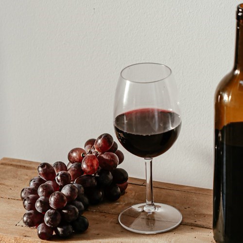 Legambiente: al via la XXXI edizione della Rassegna Nazionale dei vini da agricoltura biologica e biodinamica