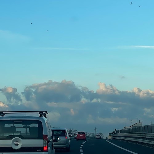 Legambiente contro realizzazione strada a scorrimento veloce tra Eboli e Agropoli