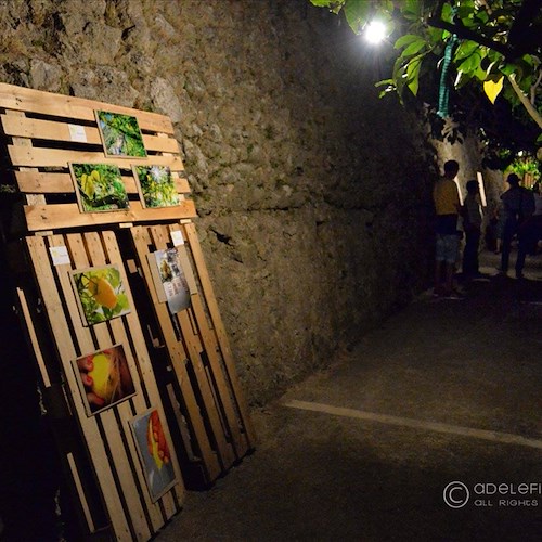 "Lemon Photo Contest", torna il concorso fotografico del Festival del Limone: iscrizioni aperte fino a 30 giugno