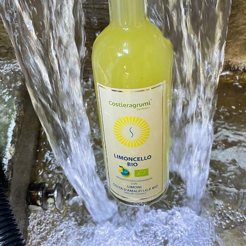 Limoncello Bio: l’ultima novità di Costieragrumi è un ritorno all’arte contadina