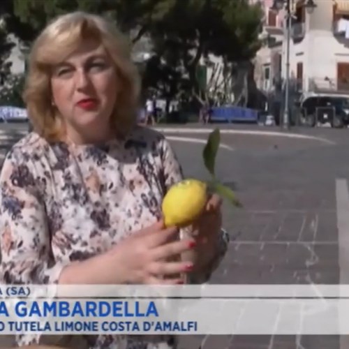 Limone IGP e Colatura di alici: le eccellenze della Costa d’Amalfi in vetrina a Uno Mattina Estate [VIDEO]