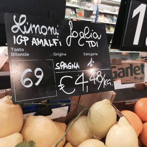 Limoni spagnoli venduti per IGP Costa d'Amalfi. E' polemica su tutele /FOTO