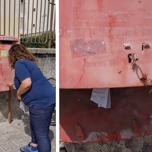 Maiori, apre buca delle lettere e sbucano api: intervento dei Vigili del Fuoco