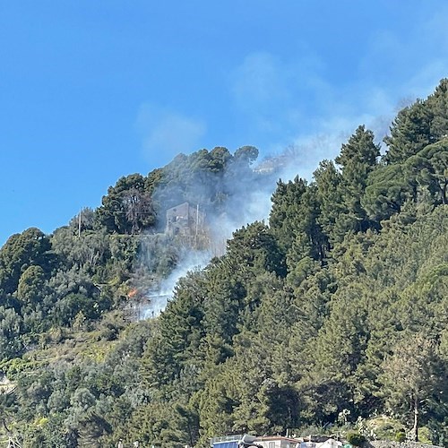 Maiori: incendio lungo il Sentiero dei Limoni, da un terreno privato il rogo scollina oltre la cima /VIDEO