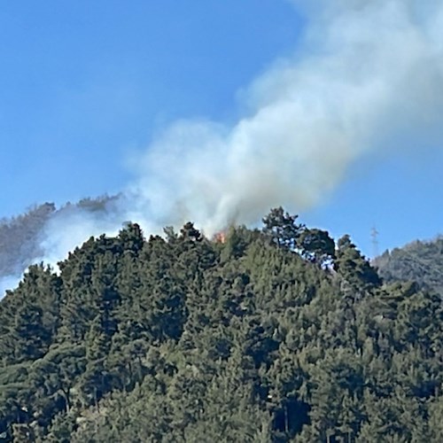 Maiori: incendio lungo il Sentiero dei Limoni, da un terreno privato il rogo scollina oltre la cima /VIDEO