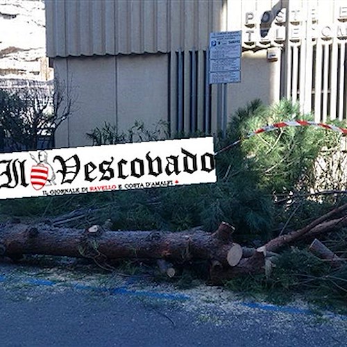 Maiori, infuria il vento: abbattuti due alberi in centro / FOTO