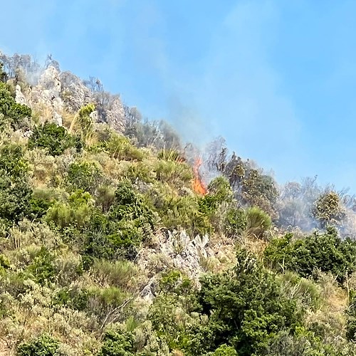 Maiori, nuovo incendio in località Capo d'Orso. Vigili del Fuoco, Protezione Civile e Forestale sul posto [FOTO e VIDEO]