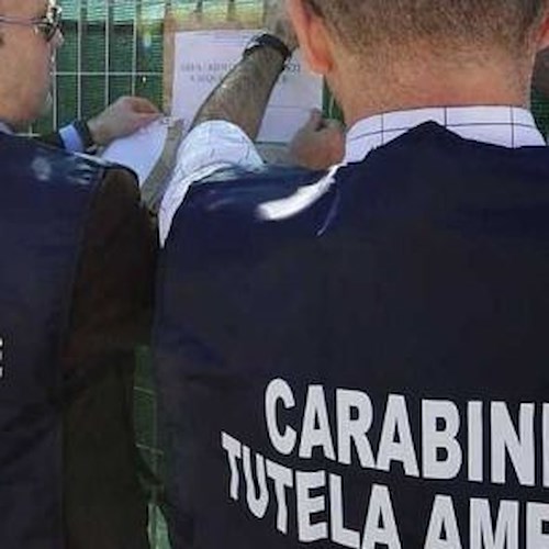 Maiori, sequestrati due depuratori: sei indagati tra cui sindaco Capone ed ex Della Pietra