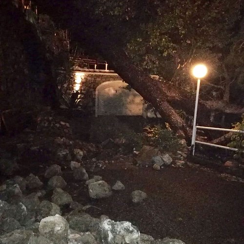 Maltempo, albero secolare si abbatte su villetta tra Positano e Praiano