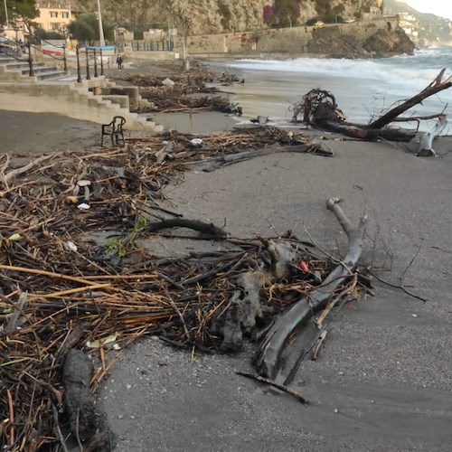 Mareggiata trascina tronchi e plastica sulle spiagge della Costa d’Amalfi: i cittadini raccolgono rifiuti inquinanti [FOTO/VIDEO]
