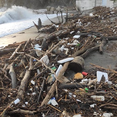 Mareggiata trascina tronchi e plastica sulle spiagge della Costa d’Amalfi: i cittadini raccolgono rifiuti inquinanti [FOTO/VIDEO]