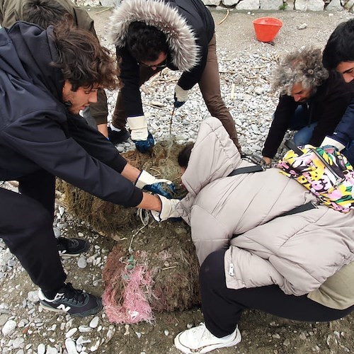 Massa Lubrense, raccolti e smaltiti 250kg di rifiuti spiaggiati nell’area marina di Puolo