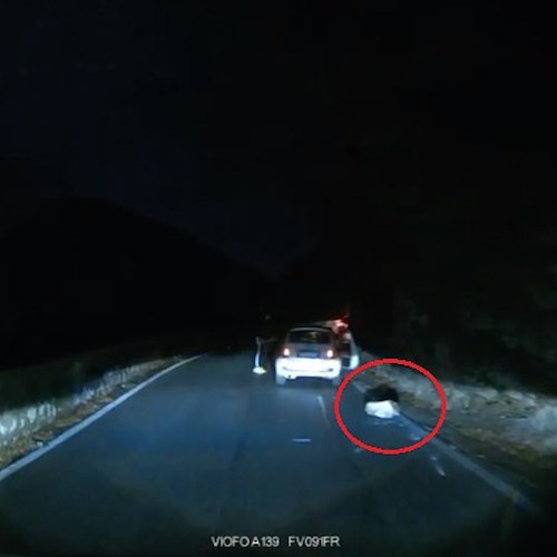 Masso si stacca dal costone e colpisce un'auto: tragedia sfiorata a Tramonti<br />&copy; Massimiliano D’Uva