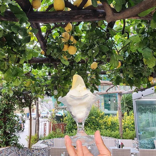 Minori, su “Il Gusto” di Repubblica un elogio al sorbetto al limone di Gambardella