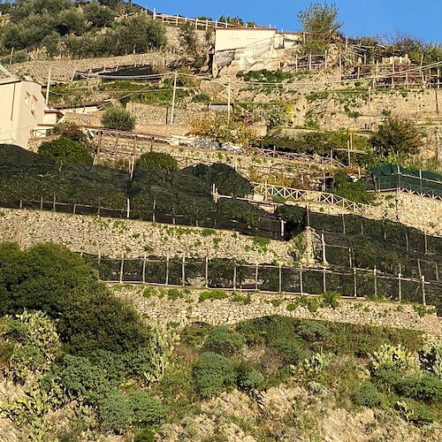 Mitigazione del rischio idrogeologico: a Minori sopralluoghi alle aree terrazzate e alle macere 