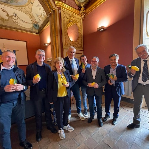 Monorotaie per i terrazzamenti della Costa d’Amalfi, finanziamenti a rischio: Sindaci di Minori e Cetara scrivono alla Regione