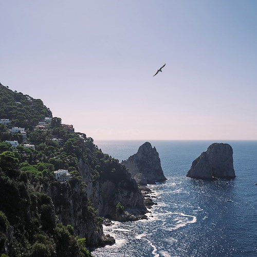 Capri<br />&copy; Ezgi Kaya